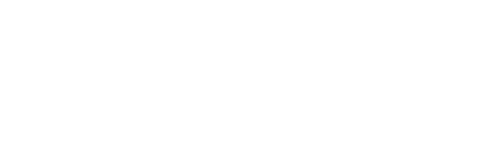 Digicop Demo 1